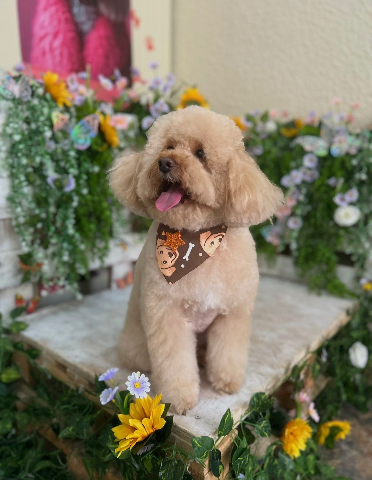 Perro disfrutando de un baño profesional con champú hipoalergénico